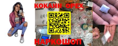винт Новодвинск