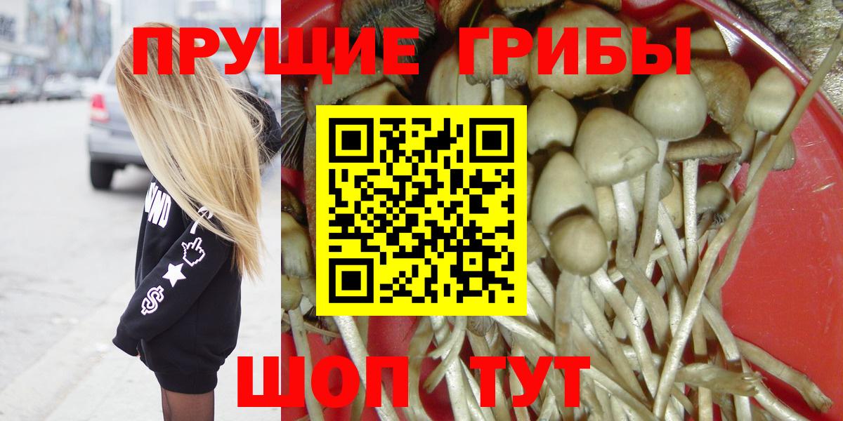 Северск  Псилоцибиновые грибы мухоморы  Вход с VPN 