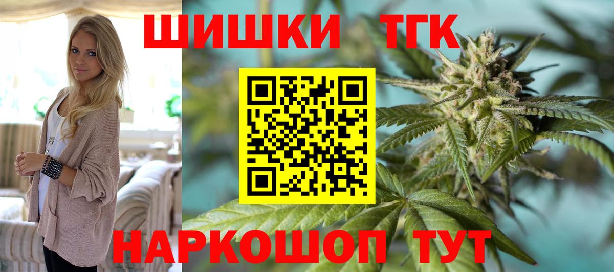 Конопля сатива Северск